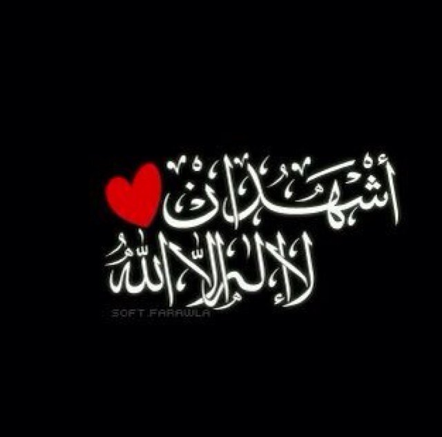 ayooosh666's profile picture. 