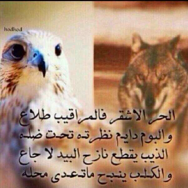 ‏‏‏أنسان راقي