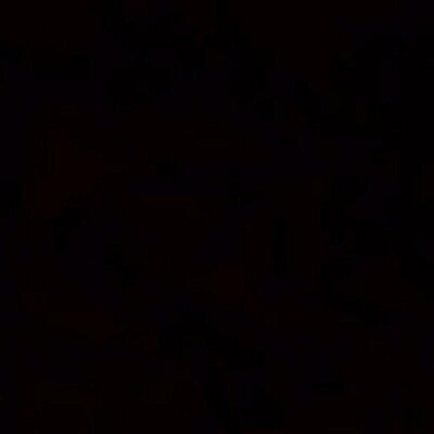 ovuleski's profile image