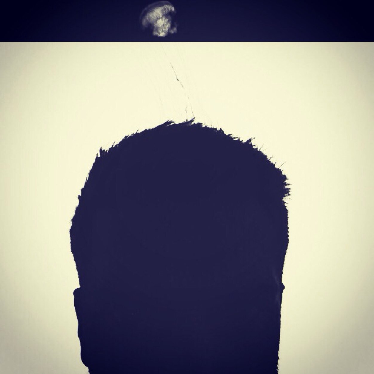 2_Que's profile picture. Bio