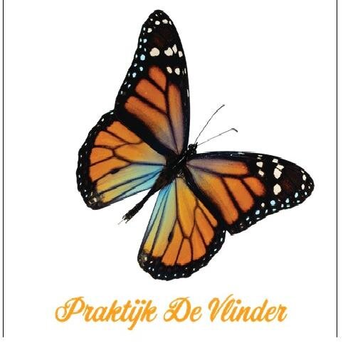 PrakDeVlinder's profile picture. Luisterkind, Healing, spiritualiteit en informatie over HSP / Hoogsensitiviteit / Hooggevoeligheid bij kinderen in de basisschool voor ouders en leerkrachten.