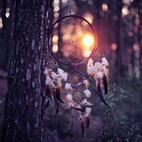 Be Free (@_why_me_13) 's Twitter Profile