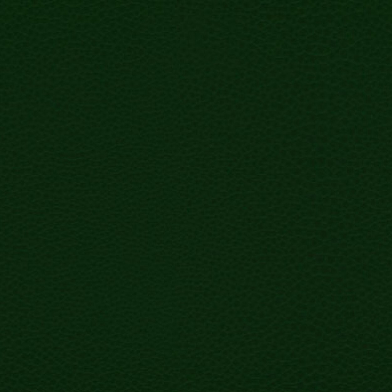 commonsxn's profile picture. poets with acid

#illhueminati