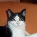 Giusi Saccone (@giusisaccone) Twitter profile photo