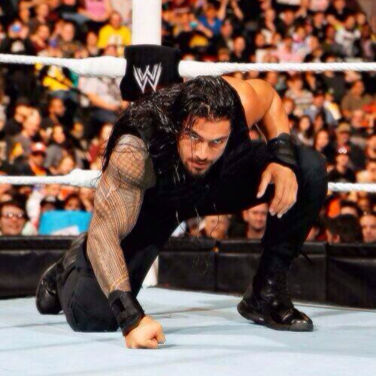 RP - My tweets can be 18+ - 1/3 The shield - Single