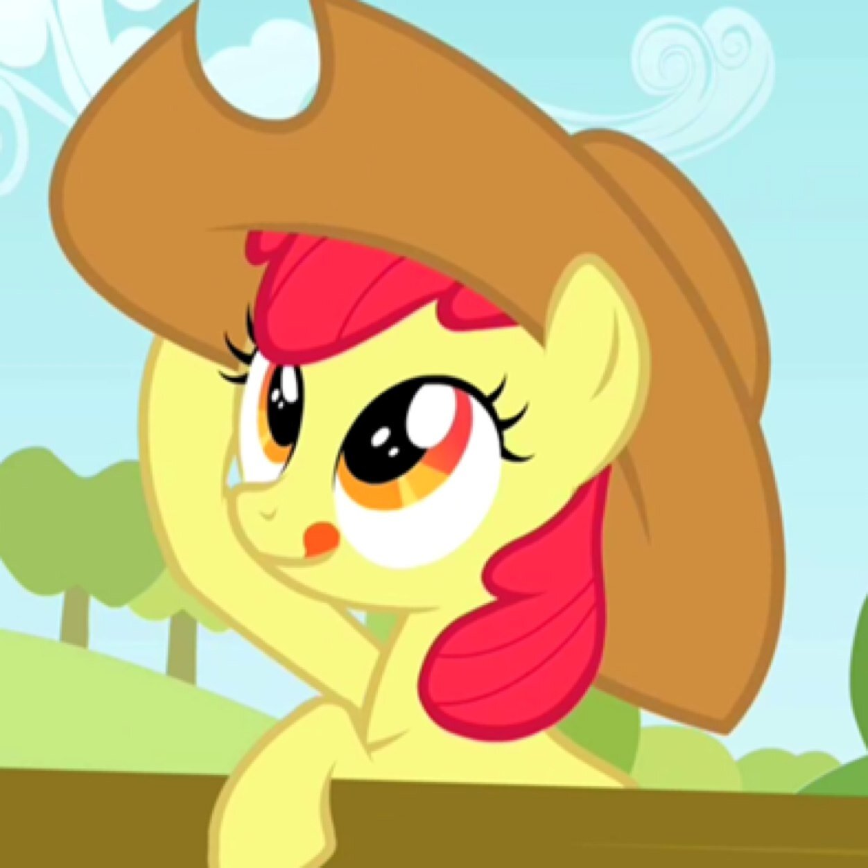 Leader of th' Cutie Mark Crusaders, tryin' ta find mah Cutie Mark! Also, don't call me little, Ah'm a big pony!