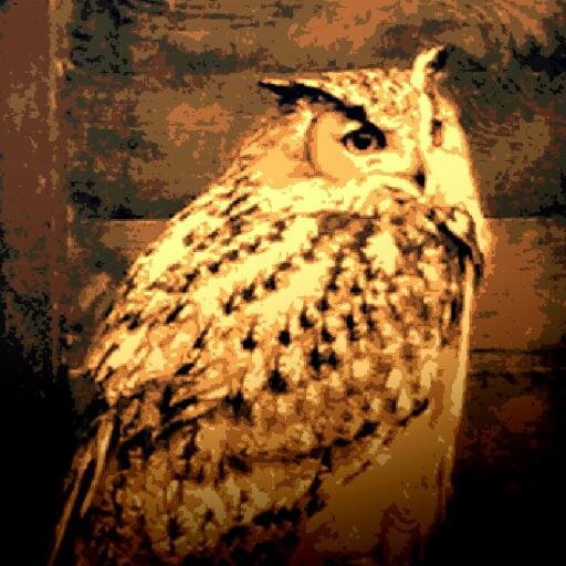 Vintage rock chick with a thirst for experience and knowledge. I express my own views