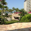 Denise Morse - @Dmmorse1Denise - Twitter