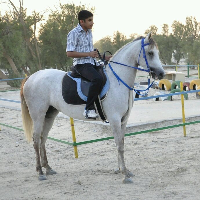 هوايتي ركوب الخيل .. لاعب كورة طائرة ...