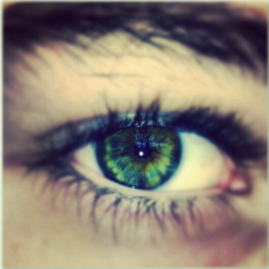 solves65's profile picture. 