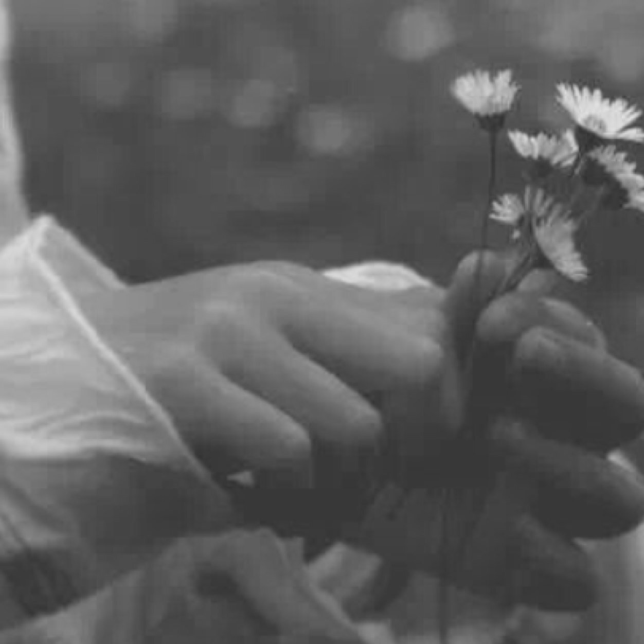 A stupid girl who owns someone's heart but wants a different one