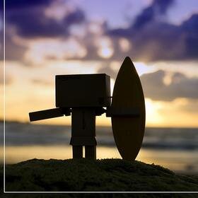 Terranology's profile picture. Pagafantas, me gusta empezar la casa por el tejado, tirar la piedra y esconder la mano, vender la piel del oso antes de cazarlo y querer lo que dejé marchar...