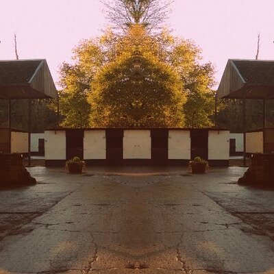 Yorkshire Equestrian Centre Yorkshireec Twitter