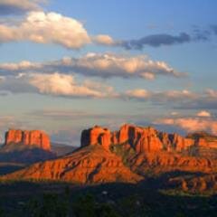 Official Twitter of Arizona Purchasing. A centralized resource of bids for vendors and buyers.Vendors: Register for Free - Access Bids, IFB's, RFP's, RFQ's.