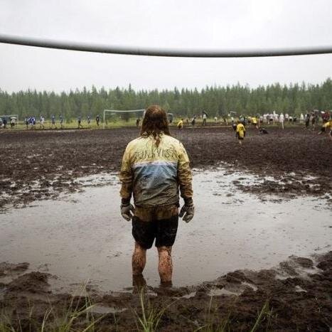 wedontsellsmoke's profile picture. Fútbol Nacional e Internacional y Boxeo. 0% Humo, 100% Confirmado (próximamente otros deportes)