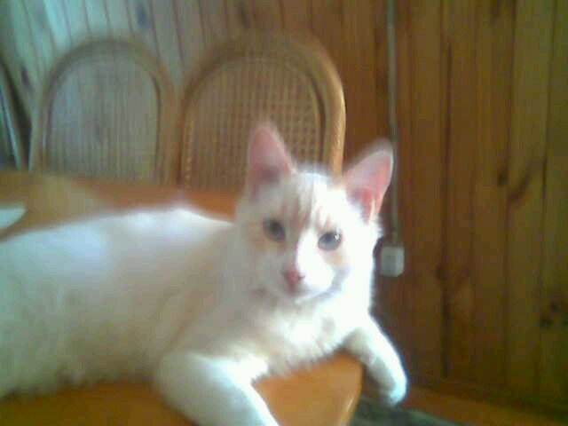 Georginavg84's profile picture. 