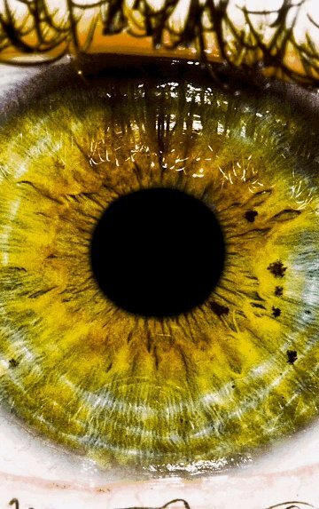 aldo13_mc's profile picture. 