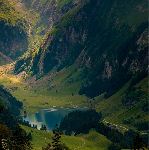 MrJefri's profile picture. كرم المرء دينه , و مروءته عقله , و حسبه خلقه ....                                            صلّوا على خير من وطِئ الثرى ، وسلّموا حتى تنالوا المُبتغى ..