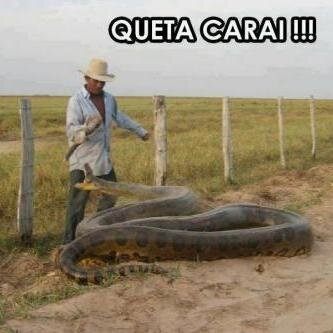 kalliel25's profile picture. 