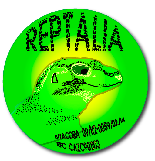 Reptaliaa's profile picture. Tienda dedicada a la venta de fauna silvestre. Todos los animales que aquí se venden fueron criados en cautiverio y cuentan con su debida documentación.