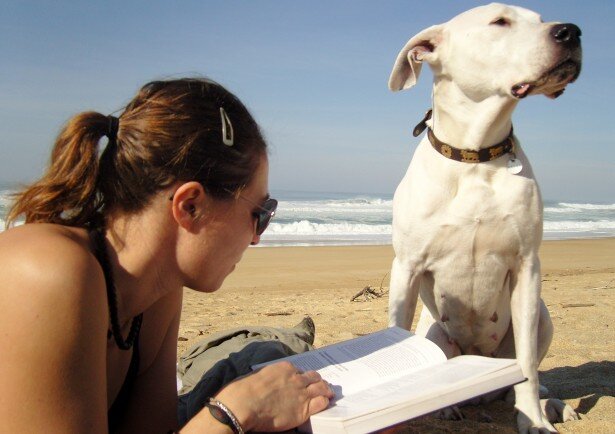 doggy on the bitch beach*