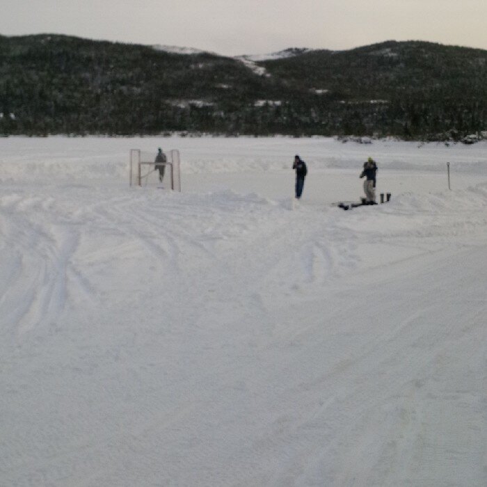 dylancribb12's profile picture. 