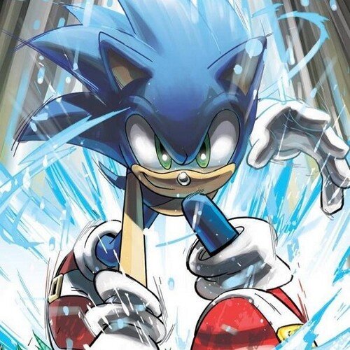 My name is sonic the hedgehog i am big fan games and cars ^.^