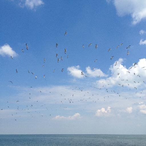 emk4543's profile picture. 