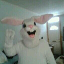 WitmerJeffrey's profile picture. Wild & Crazy guy