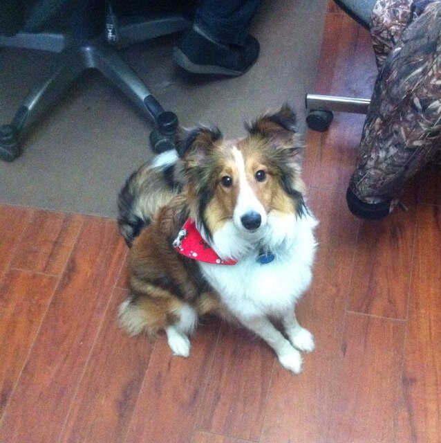 cashasormier's profile picture. She/her. Doctor. Mother. Believer in love. Lover of life. Fierce blocker of fake profiles/trolls. Opinions are mine alone. 🌈