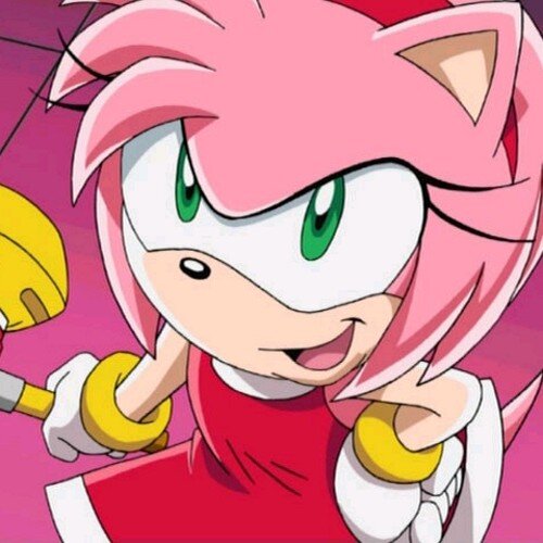 My name is anyrose i am big fan of sonic the hedgehog game and tv series ^.^