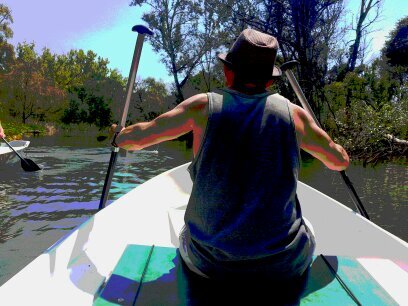 mf2684's profile picture. Can the world become any  curiouser