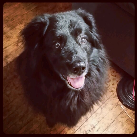 iotash's profile picture. Just over a year ago I decided to get fit and drop almost 50lbs!! This is my way of documenting my journey with fitness and my life!