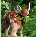 crystal Acuff - @cacuff1104 - Twitter