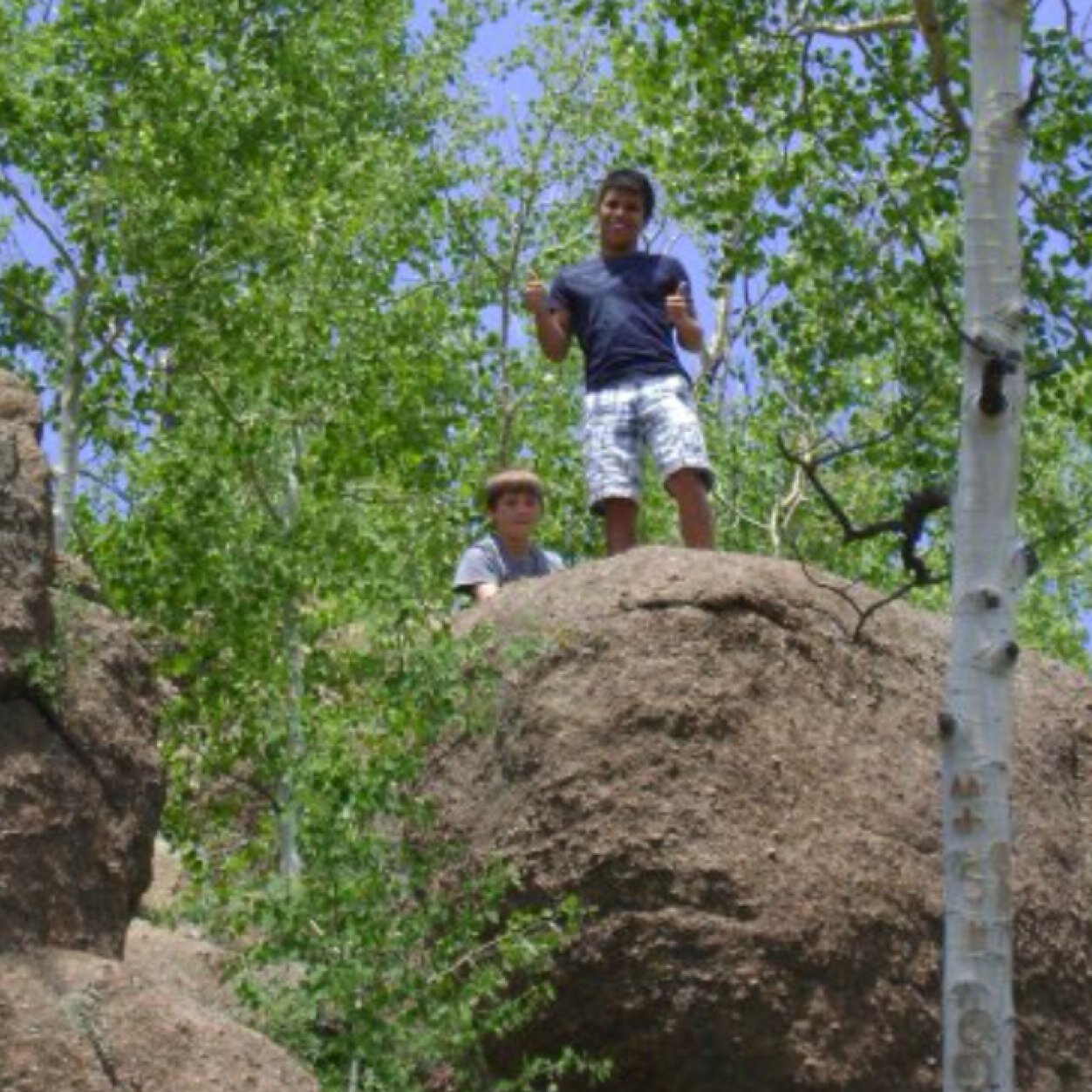 DPetskaa's profile picture. 