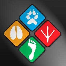 FourFeetForward's profile picture. 