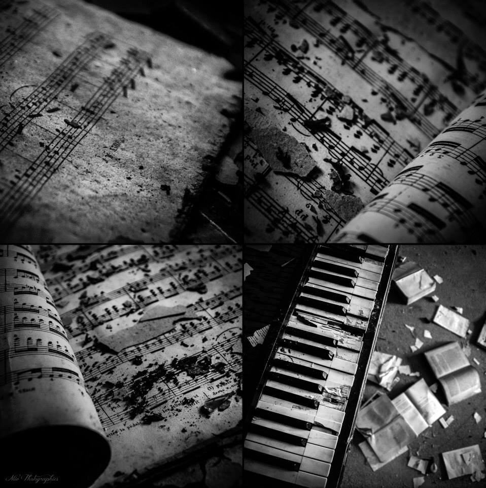 Eternal Dreamer, Stargazer
Wonderful life full of Music