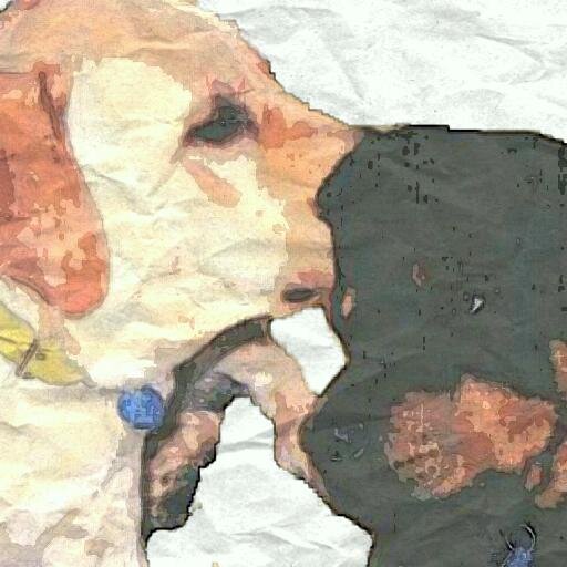 High quality, #pet focused #petcare; #animal rescue volunteer, foster, & #advocate