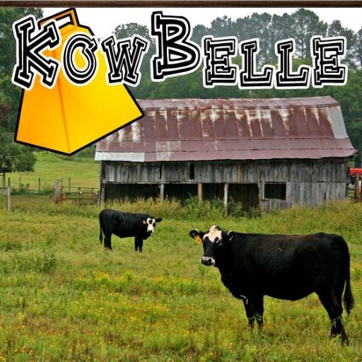 KowbelleRules's profile picture. KowBelle is the project of Louis Ross, writer & philanthropist. The album is a collection of Lou Ross's most personal songs. https://t.co/zkoOsuoXD7