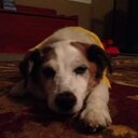 Joan Streeter - @joanstreeter - Twitter