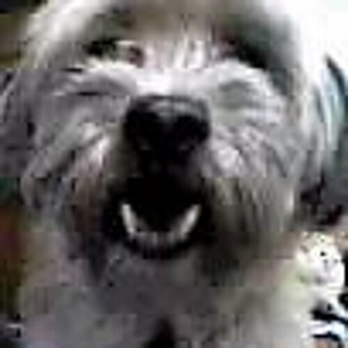 romano8370's profile picture. 