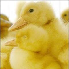 azq_azlinda's profile picture. Hello world. Nice to see you again this morning :)