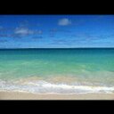 Dee Hines - @enjoyTX - Twitter