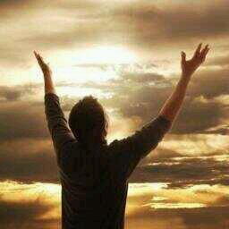 alaanri3352's profile picture. 