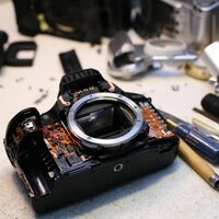 true (@true3702) 's Twitter Profile