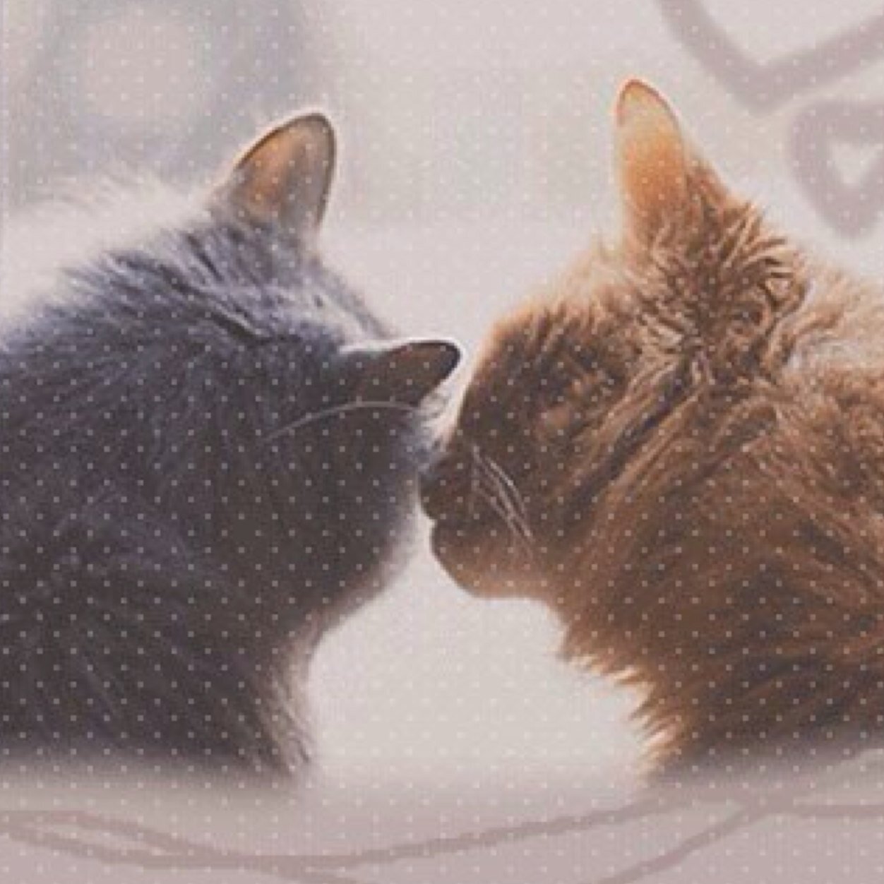 adgjm_adgjmptw's profile picture. よろー