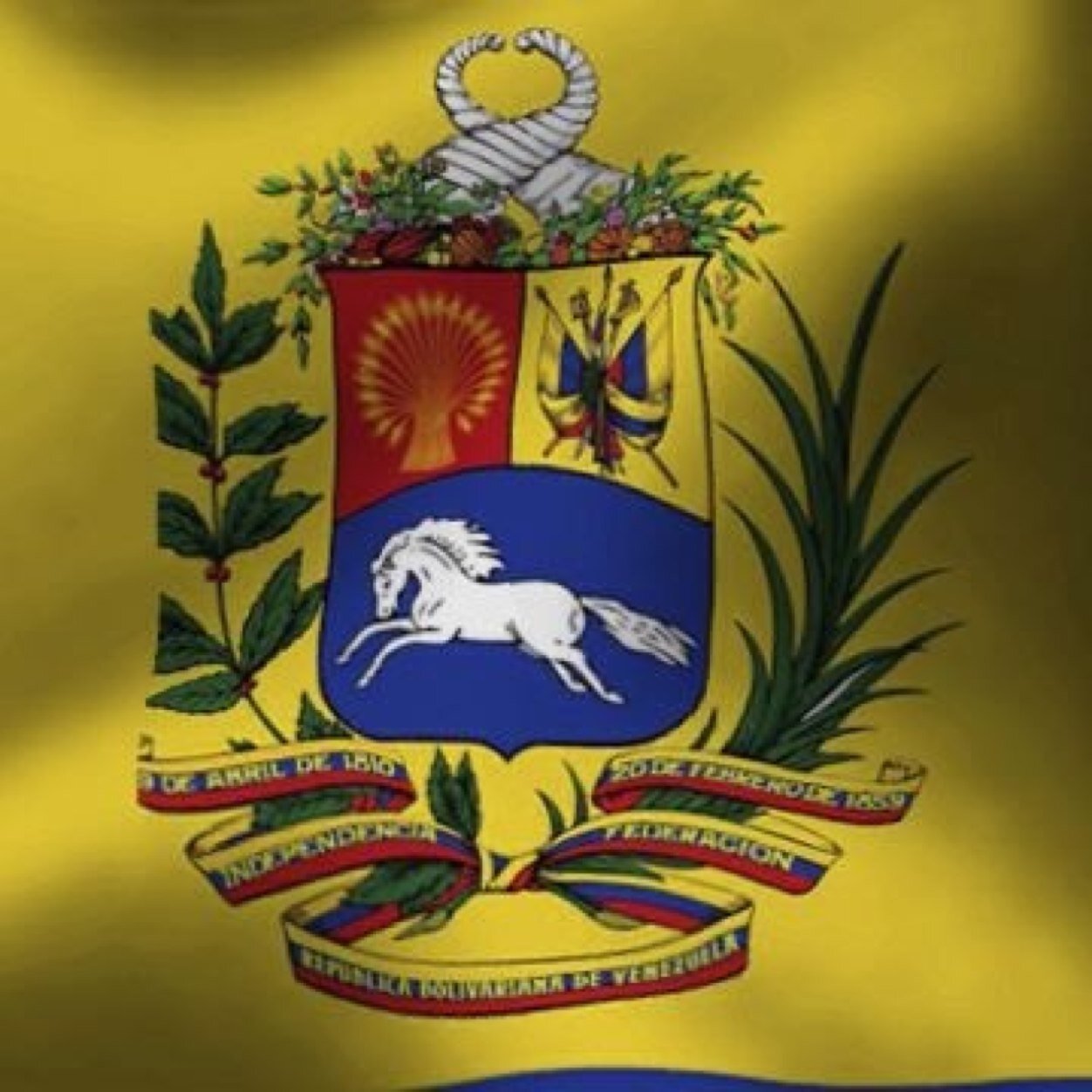 miriamer's profile picture. Seguidora de Jesucristo y comprometida con lo que dice su palabra(la biblia)