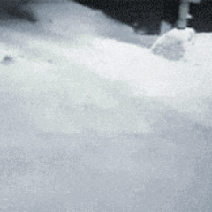 pesidem's profile picture. credit risk gooner