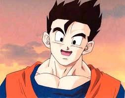 Hola soy Gohan, mi padre es Goku mi madre Milk y mi hermano es Goten. Mi novia hermosa @Videl_ofiiciall la Amo!!