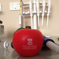 Dr Nichola Thompson (@nutritionadl) 's Twitter Profile